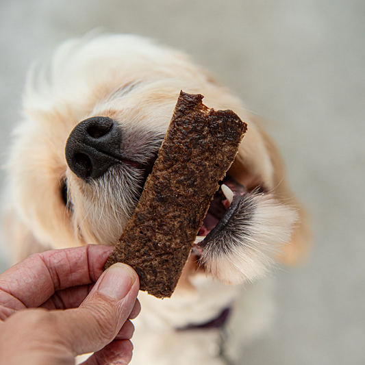 🐾 The Good Dog LIGHT TREATS Box