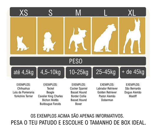 🐾 The Good Dog ADVENTURES Box