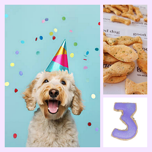 🐾 The Good Dog BIRTHDAY Box